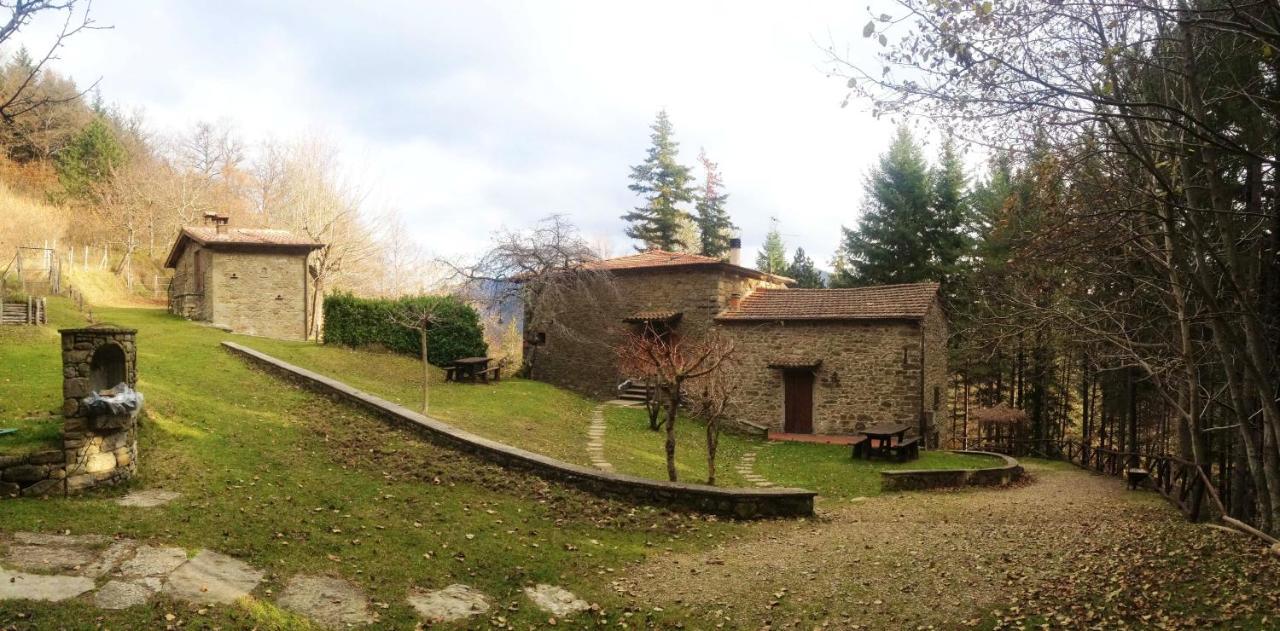 Comfortable House In Bibbiena + Pool Экстерьер фото