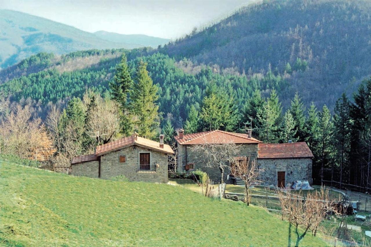 Comfortable House In Bibbiena + Pool Экстерьер фото